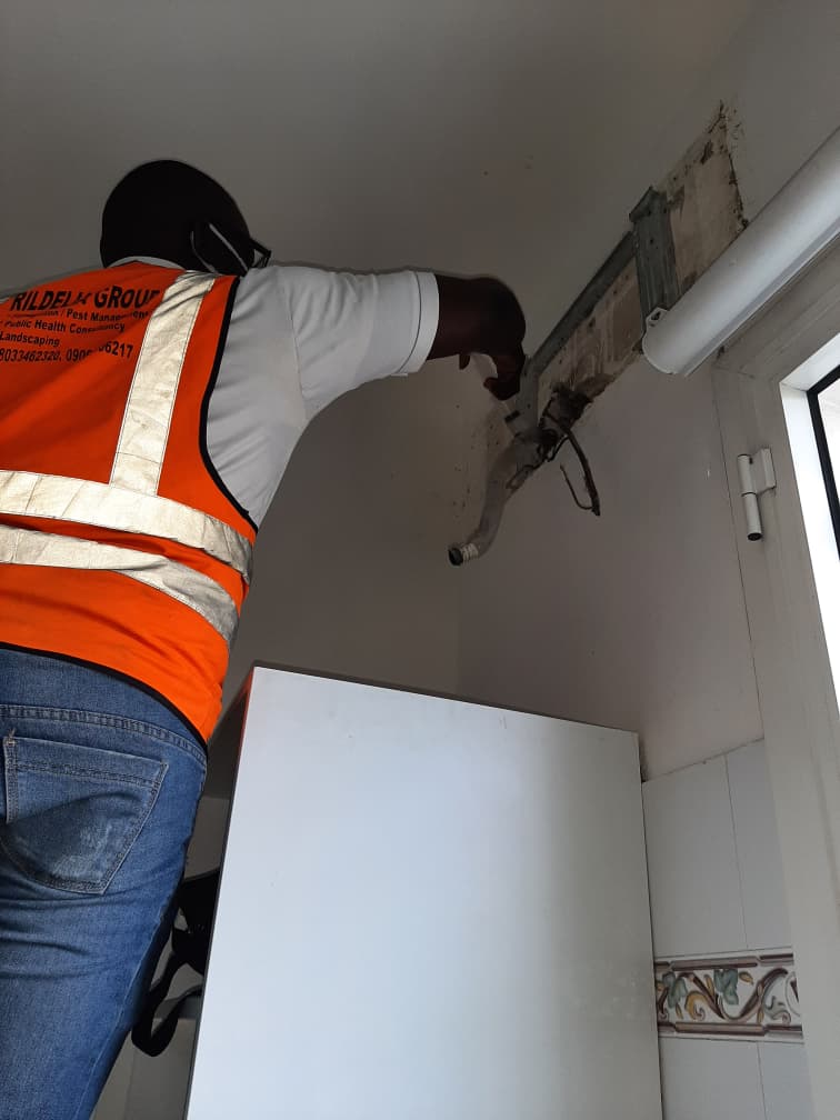 Rodent control service